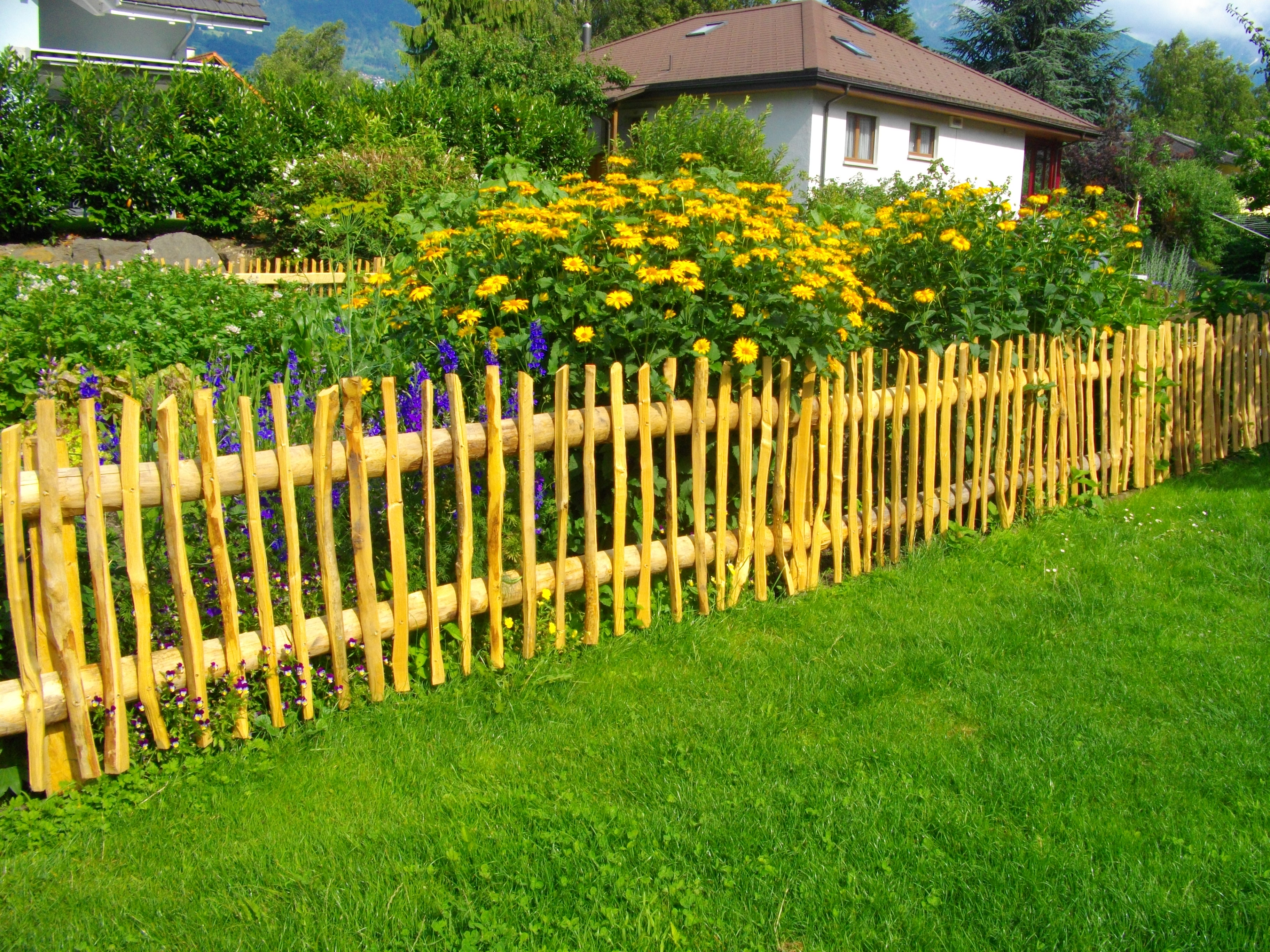 Holzzaun
